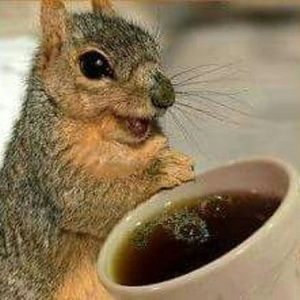 Meet your Posher, Ilissa